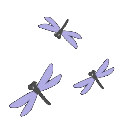 dragonflies-mirrored