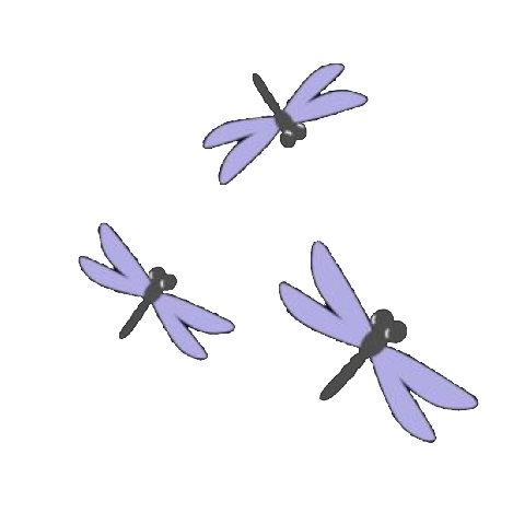 dragonflies
